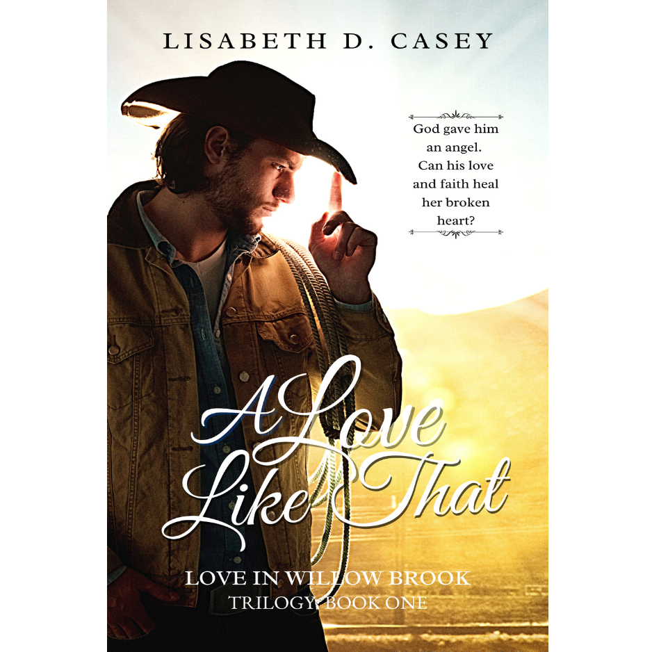 ebook Love in Willow Brook - 1 - A Love Like Tthat